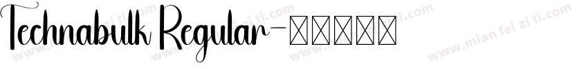 Technabulk Regular字体转换